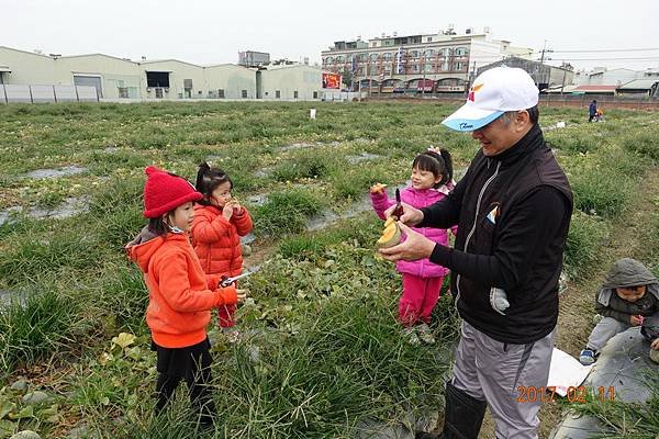 106.02.11元宵節採哈密瓜+香腸博物館做湯圓 (24).JPG