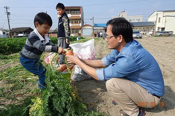 106.02.19將軍西合里採紅蘿蔔 (23).JPG