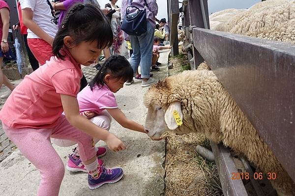 107.06.30-07.01中橫旅. (66).JPG