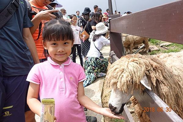 107.06.30-07.01中橫旅. (76).JPG