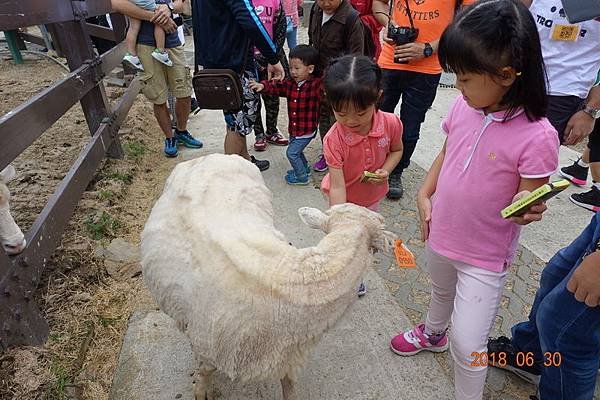 107.06.30-07.01中橫旅. (83).JPG