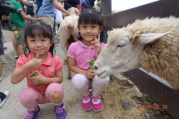 107.06.30-07.01中橫旅. (85).JPG