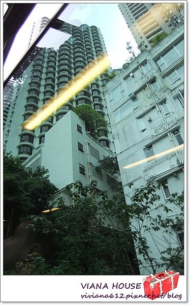 P1020646-4.JPG