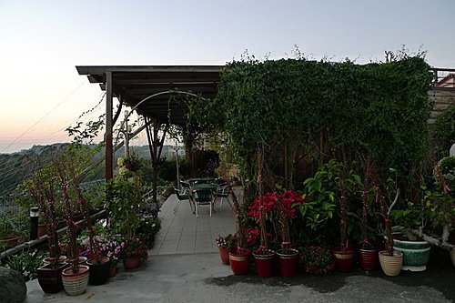 990117-19.jpg