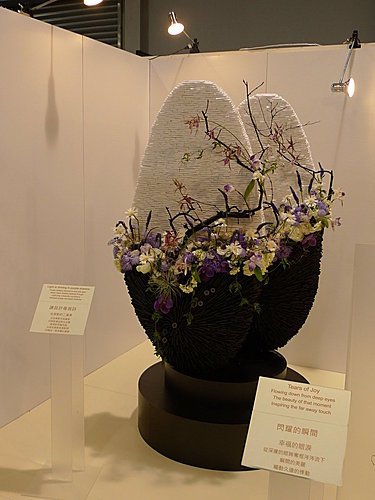 1000324-46.jpg