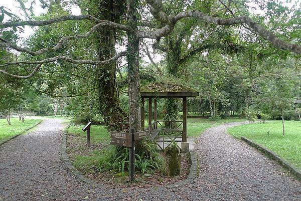 1030628-17福山植物園.JPG