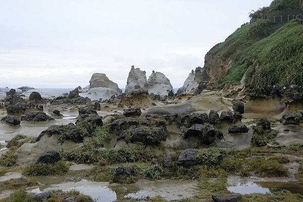 1071117-29和平島.JPG
