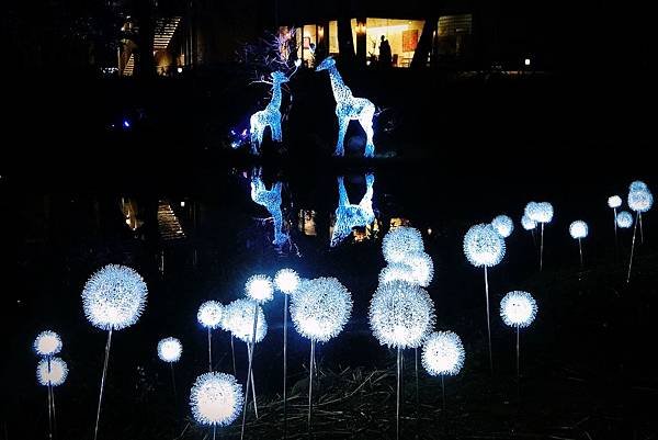 1081221-16新竹公園城市躲貓貓之夜.JPG