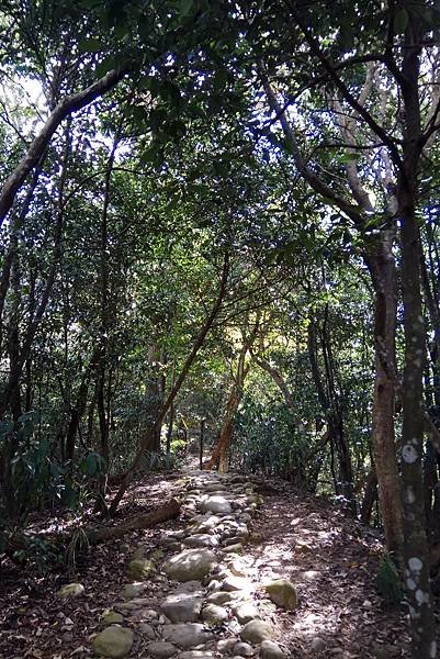 1091010-6飛龍古道健行筆記.jpg