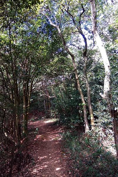 1091010-9飛龍古道健行筆記.jpg