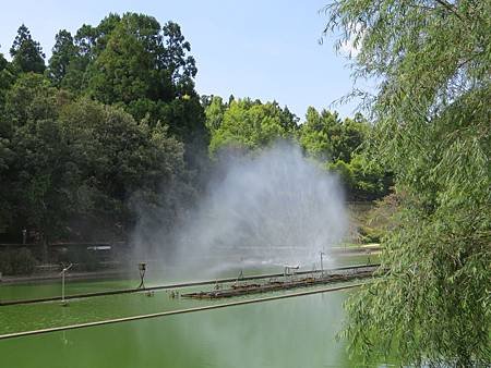 IMG_0666.JPG