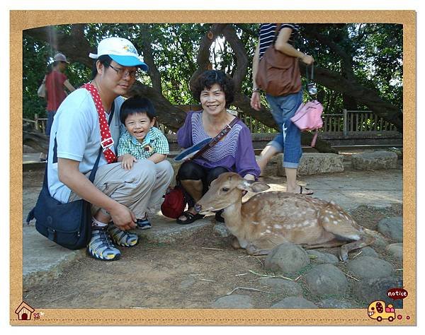 動物園05.jpg