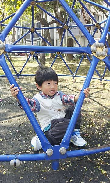 20120211_120829.jpg