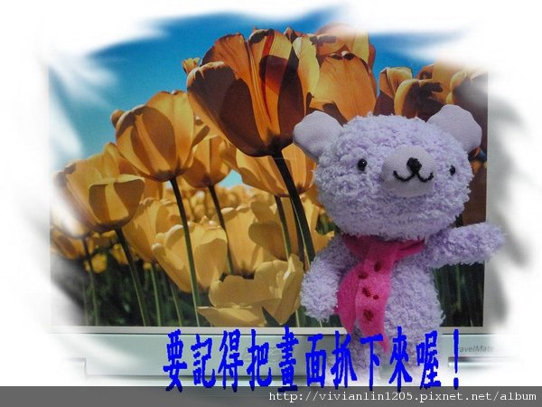 踩踩02.jpg