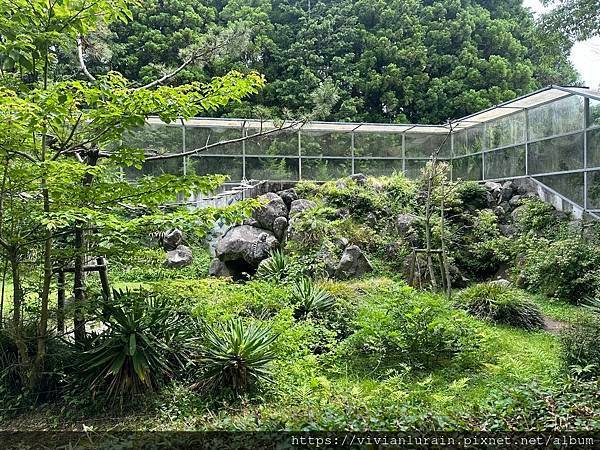 [2024東京親子遊]小田急浪漫號特快+FUJI SAFAR