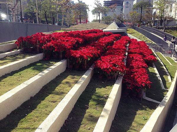 秋紅谷生態公園