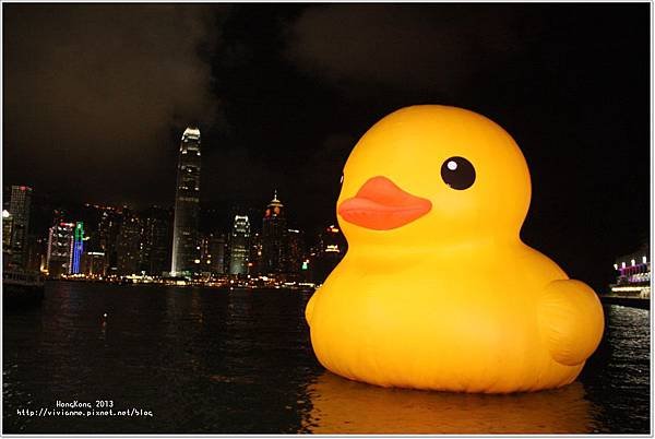 rubber duck 
