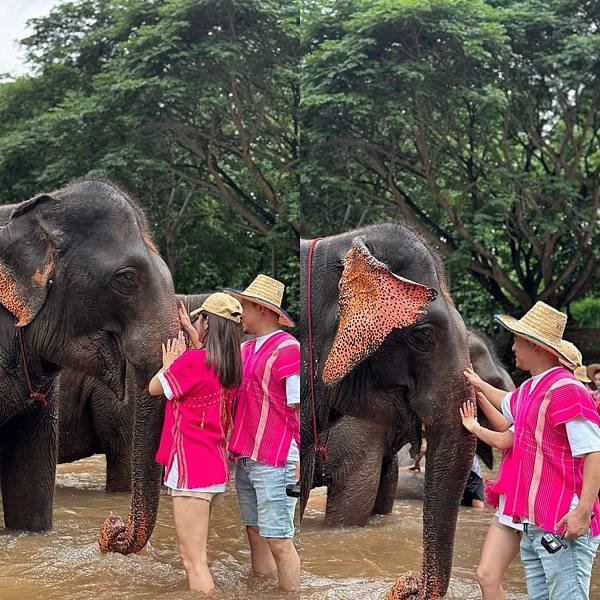 清邁Kerchor elephant eco park