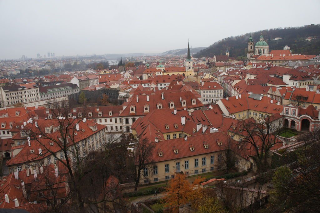 DSC03083.JPG