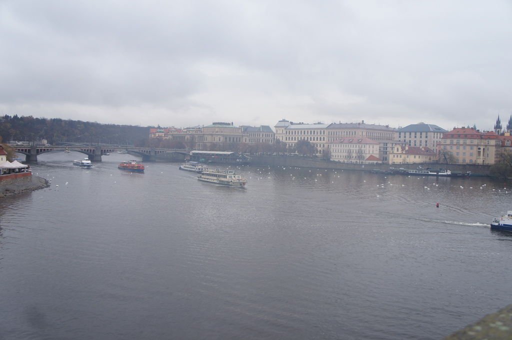 DSC03266.JPG