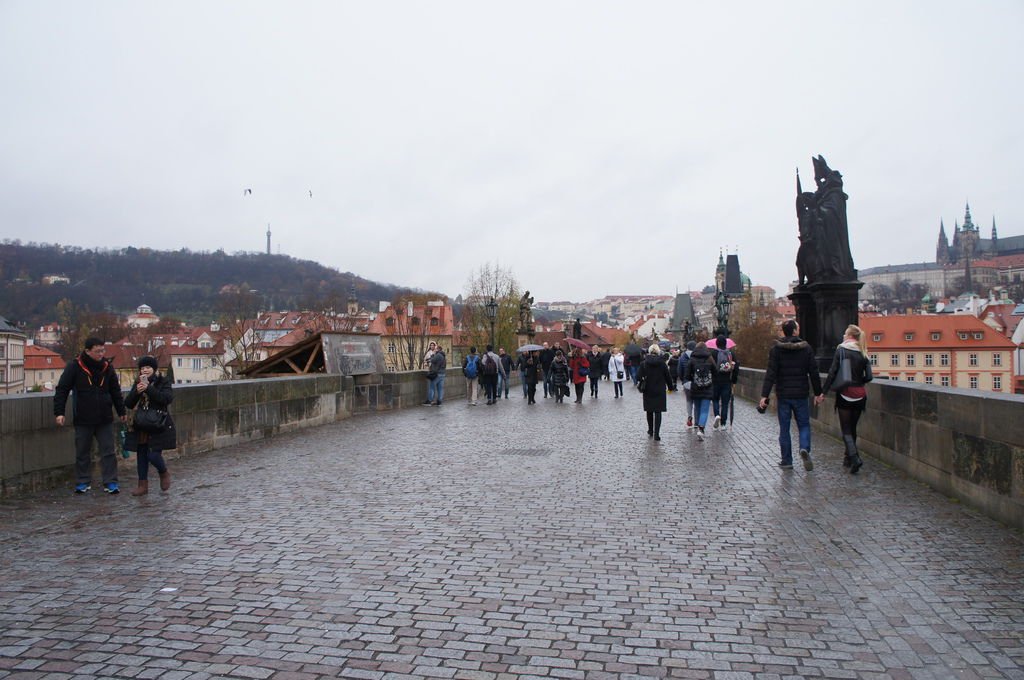 DSC03310.JPG