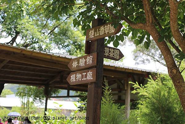 照片 060.jpg