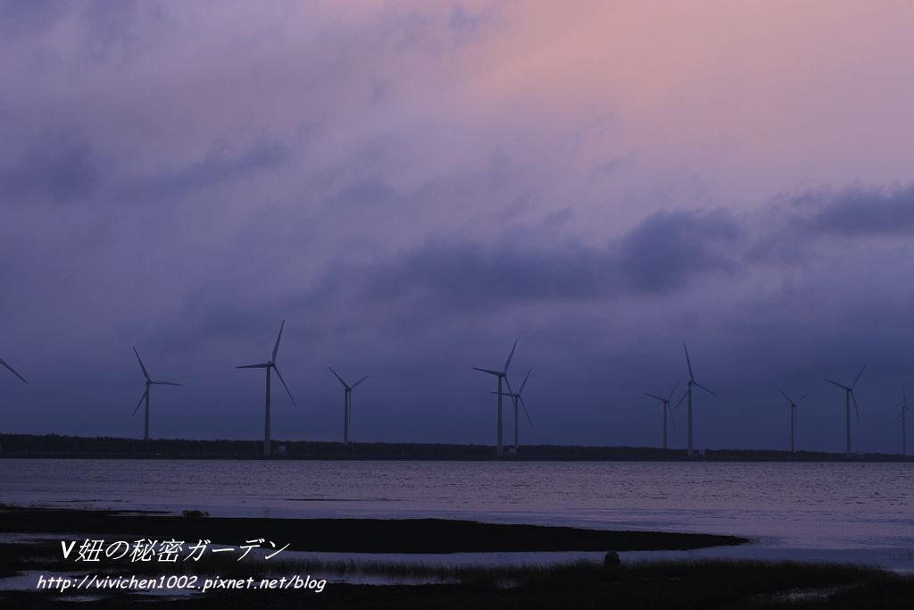 IMG_4962_副本.jpg