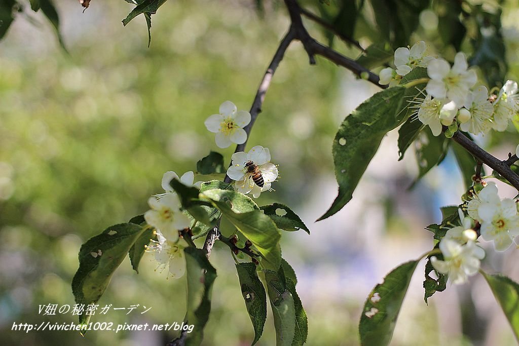 IMG_6318_副本.jpg