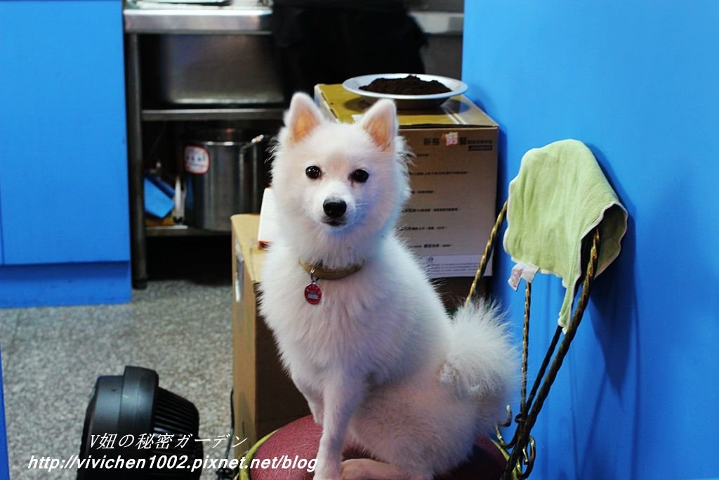IMG_9835_副本.jpg
