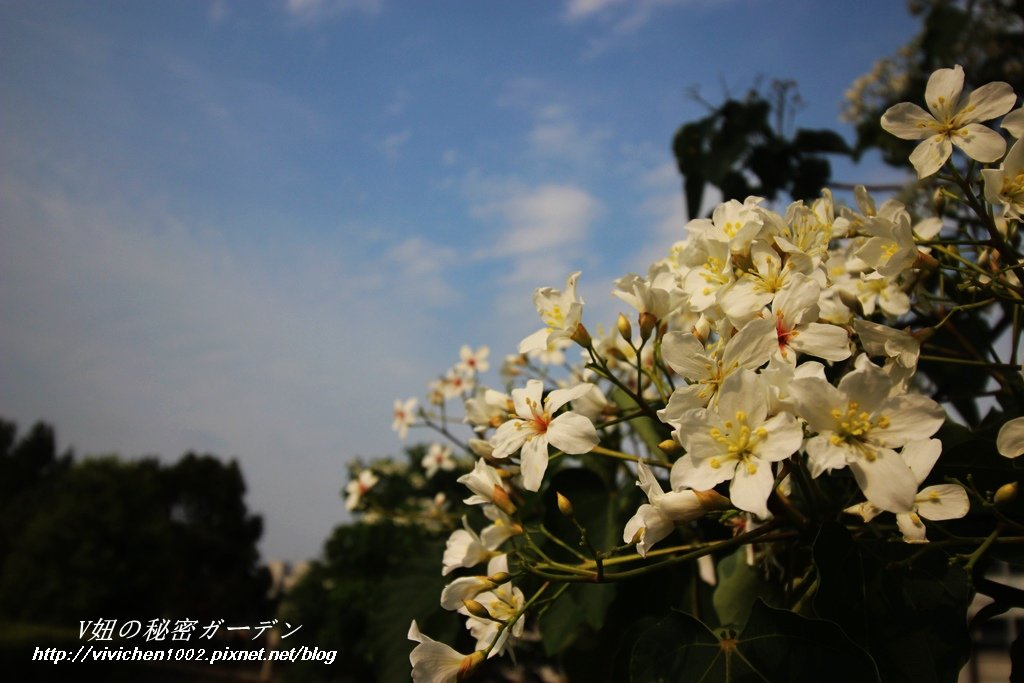 IMG_7317_副本.jpg