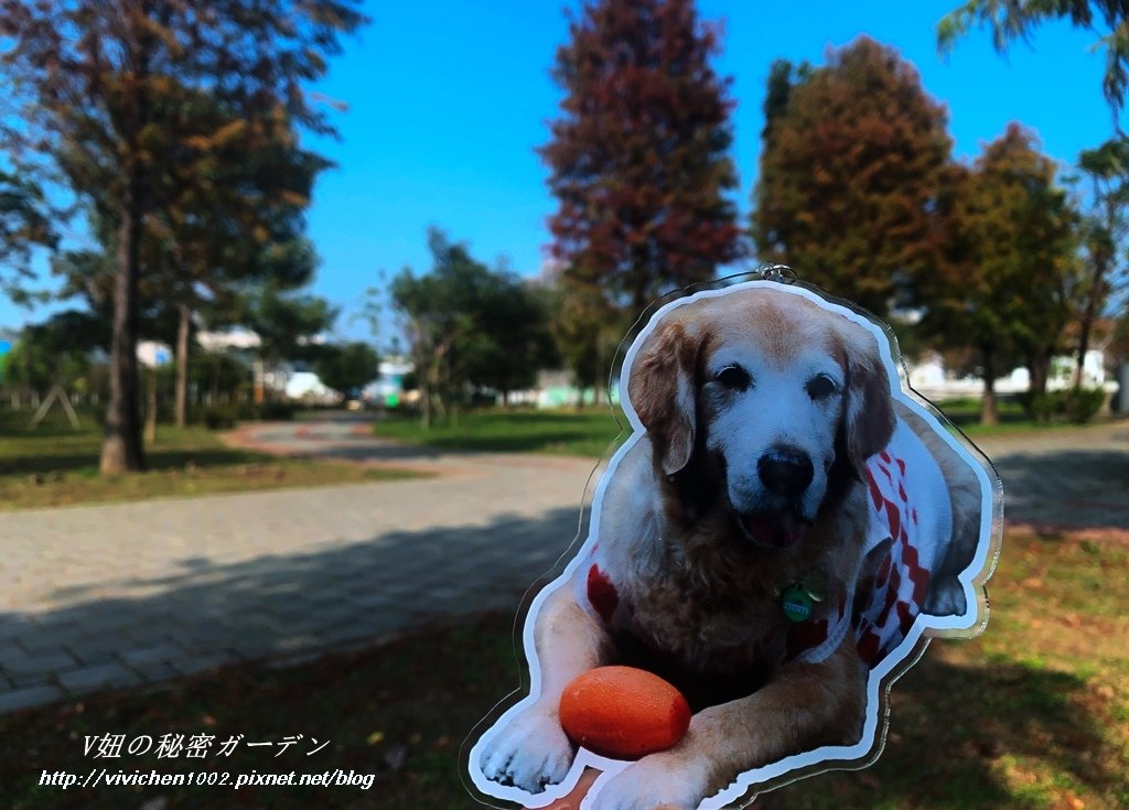 IMG_6698_副本.jpg