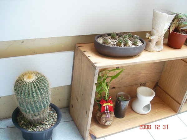 DSC05245.JPG