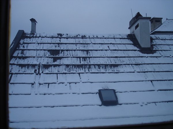 DSC05878.JPG