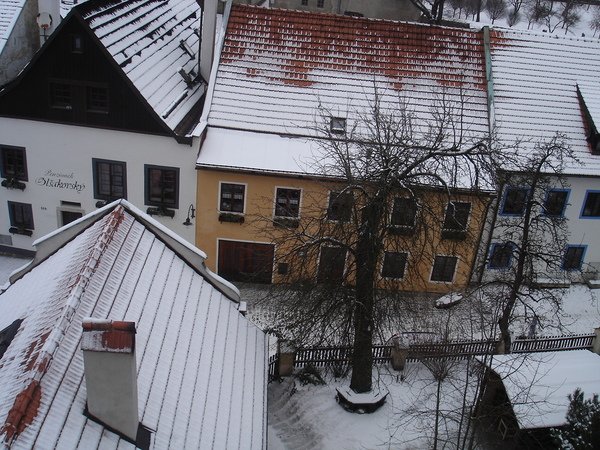 DSC06018.JPG