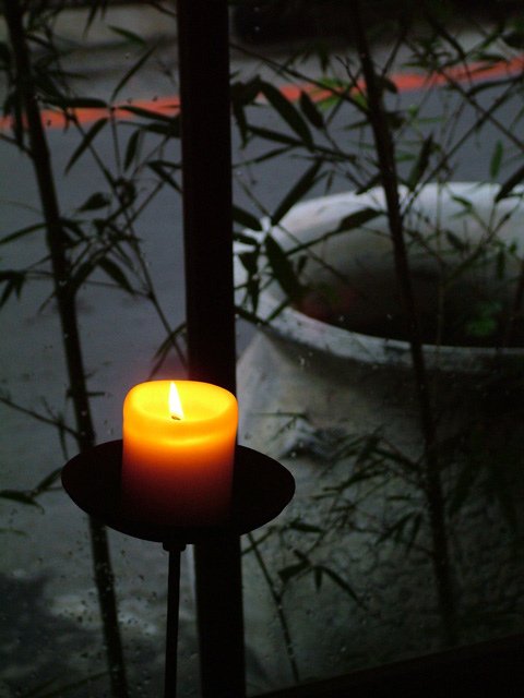 DSCF2498
