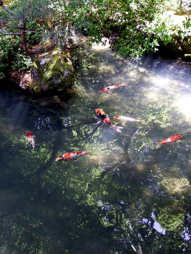 DSCF5235.JPG