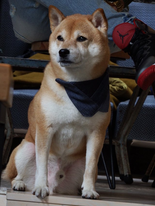 DSCF6201.JPG