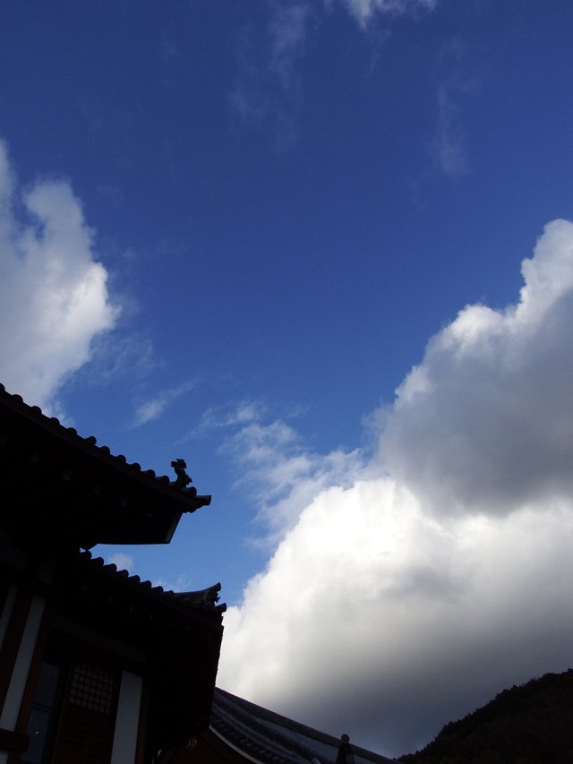 DSCF1137.JPG