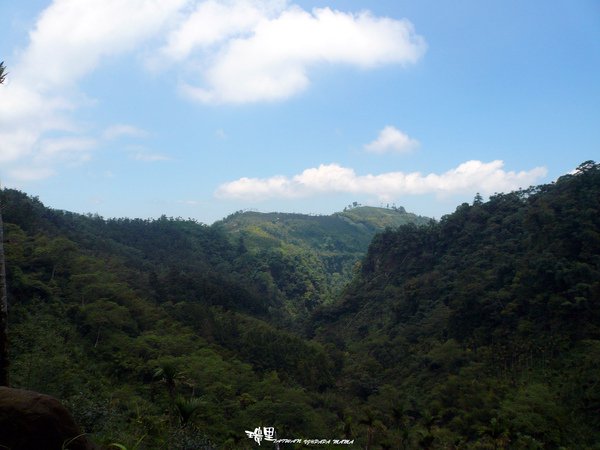 野薑花溪步道