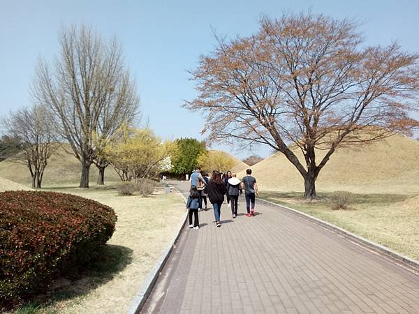IMG20180330115713.jpg