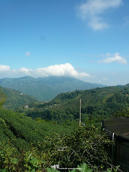 瑞里綠色隧道