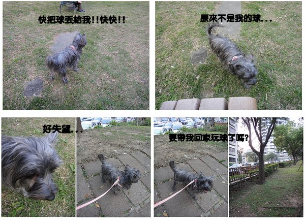 球球