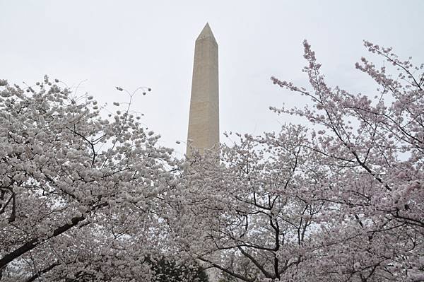 DSC_1571.JPG