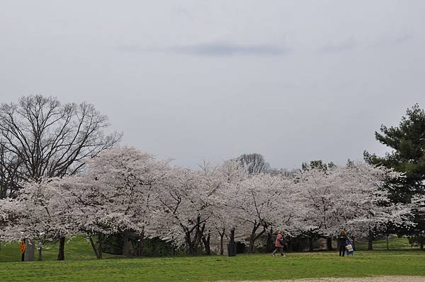 DSC_1586.JPG