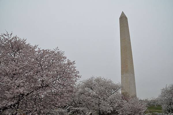 DSC_1659.JPG