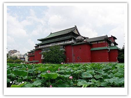 台北市植物園-荷花池.jpg