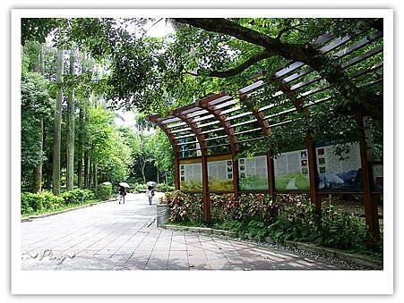 台北市植物園-園內-01.jpg