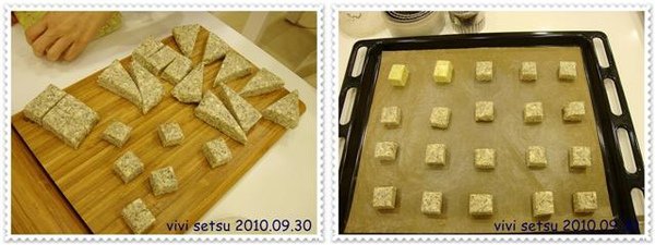 DSC08008a.JPG