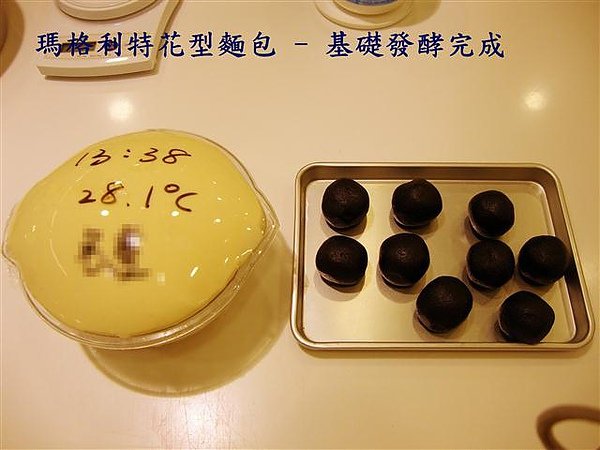 DSC04031.JPG