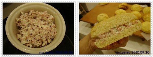 DSC08040a.JPG